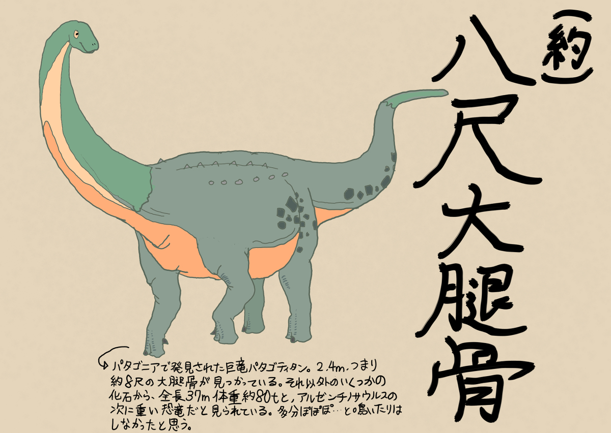 ぱぱ、ぱぱっぱ、ぱ、ぱっ…パタゴティタン #やんわりッ古生物 #恐竜 #パタゴティタン #八尺大腿骨 #竜脚類 https://t.co/N5uZBt2TfA 
