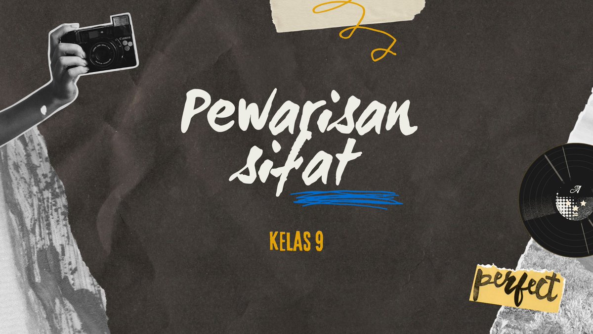 aileen²⁵💐 tweet media