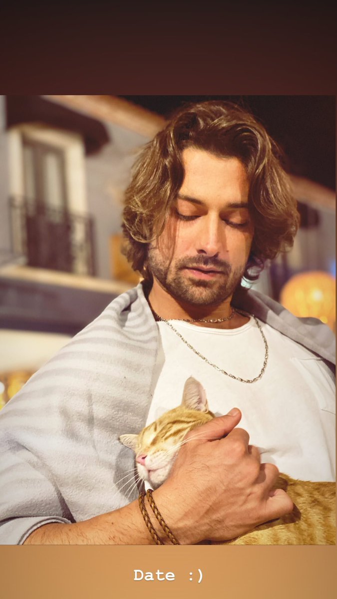 _CenkCelen's tweet photo. Miaw, Miaw Michi 😺
#AlpNavruz #CenkÇelen https://t.co/bvHTupSuQU