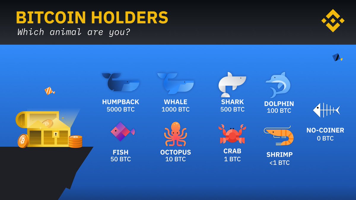 binance's tweet image. Do you know a no coiner?