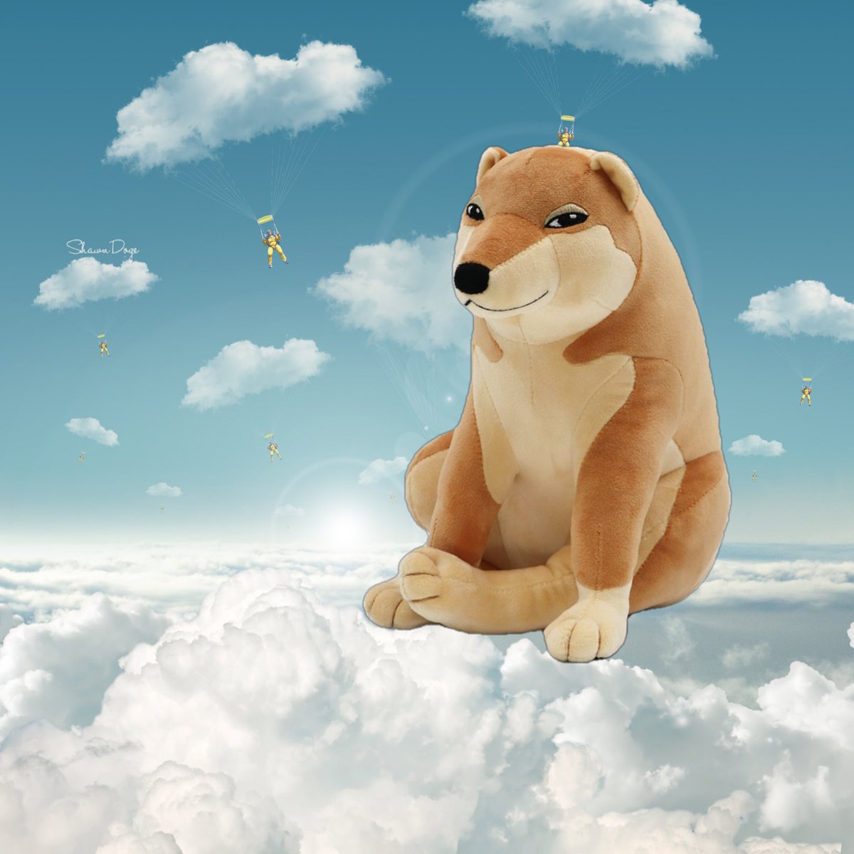 The only stuffed animal you’ll ever need 🐕 #doge #dogecoin