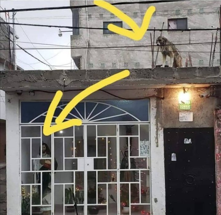 OLICOL's tweet photo. Ser religioso es muy distinto a ser buena persona! 😕 https://t.co/xqr7wVx4H0