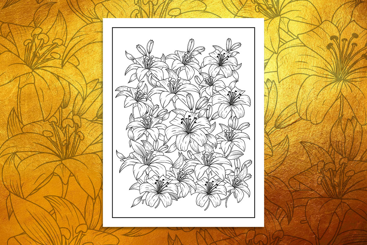design_drafts's tweet image. Lily&apos;s Flower Coloring Page, Line Art designbundles.net/designdraft/15…