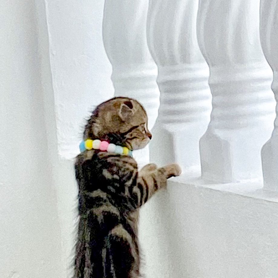 ตอนแม่บอกรถกับข้าวมาแล้วเรียกด้วย