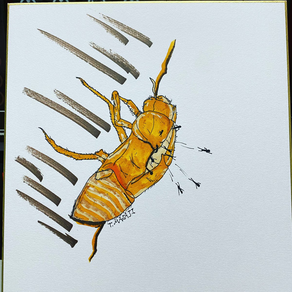 Home Use Night Mode Notifications Notification Sound My Profile Show Profile Account Setting Sub Users Personal Account Business Account Show Me Online Delete History Expose Author Name Cross Video Days Jenf Zvid Xxsg Zxnq Oidd Oofj Qqtu Vqaf