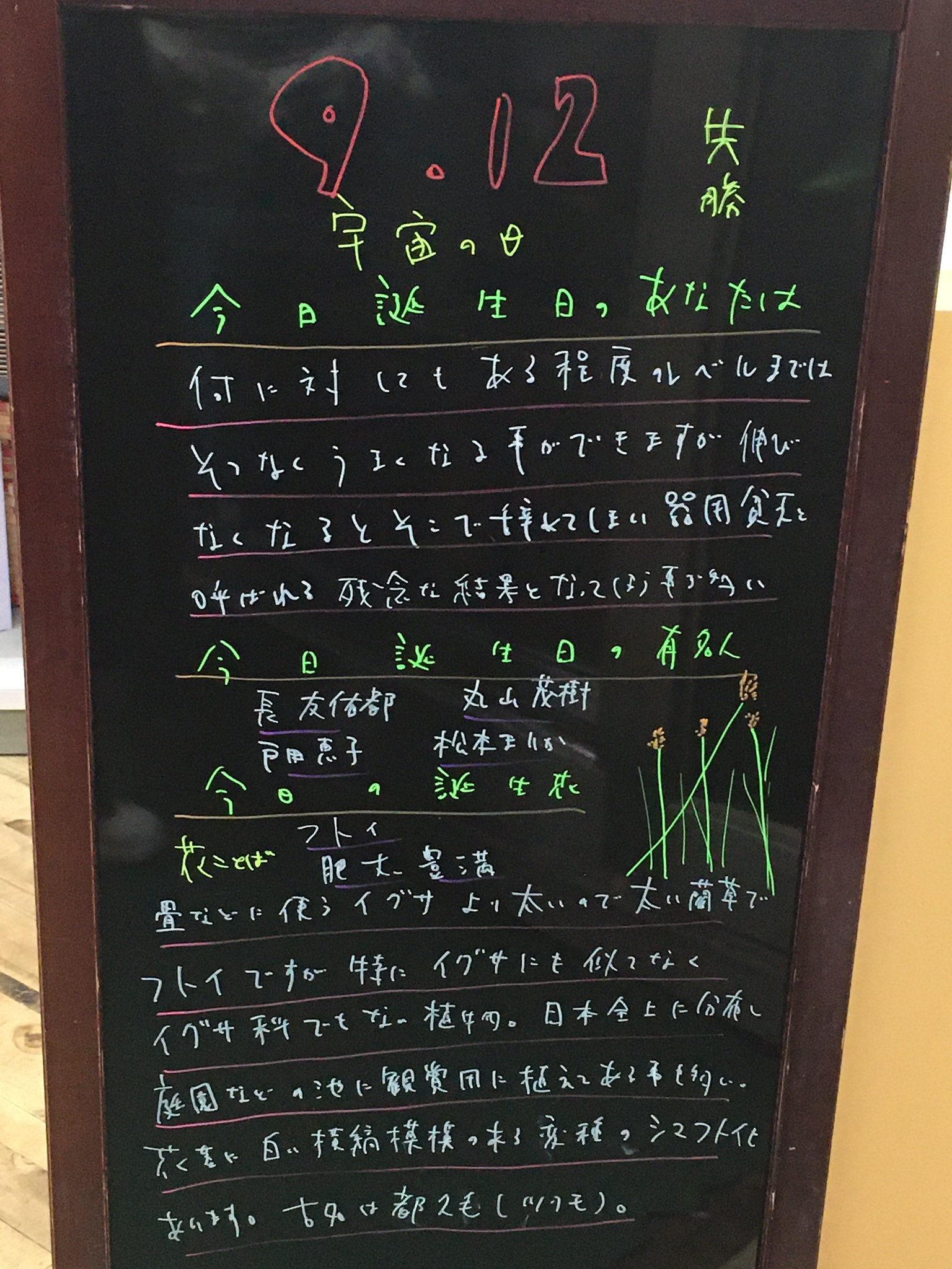 カヤツリグサ科 Twitter Search Twitter