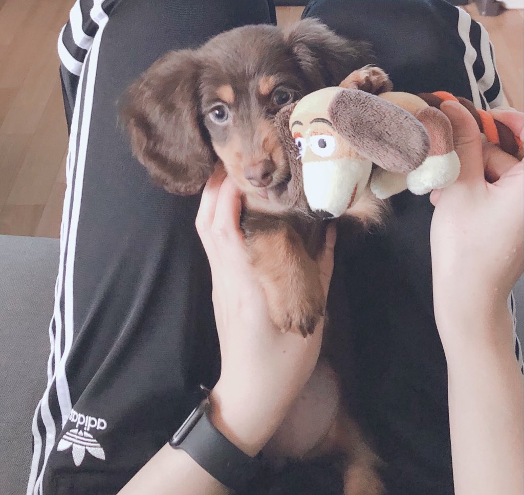 B9 Ad Twitter Search