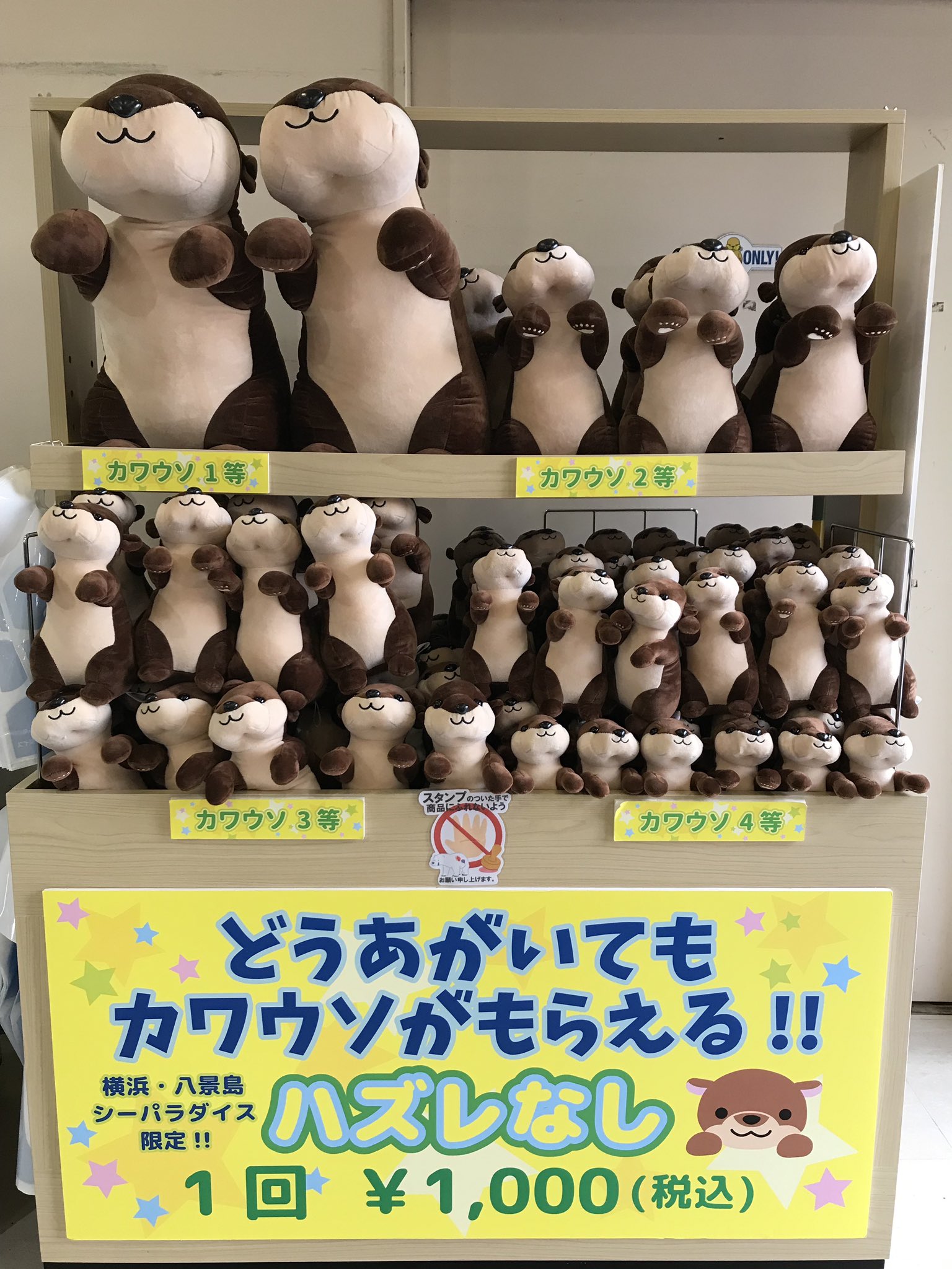 横浜 八景島シーパラダイス公式 どうあがいてもカワウソがもらえる でおなじみのカワウソくじがリニューアルしました アニマルパフォーマンス にてコツメカワウソがロープを持つ 可愛らしい立ち姿がモチーフになっているんです シーパラ