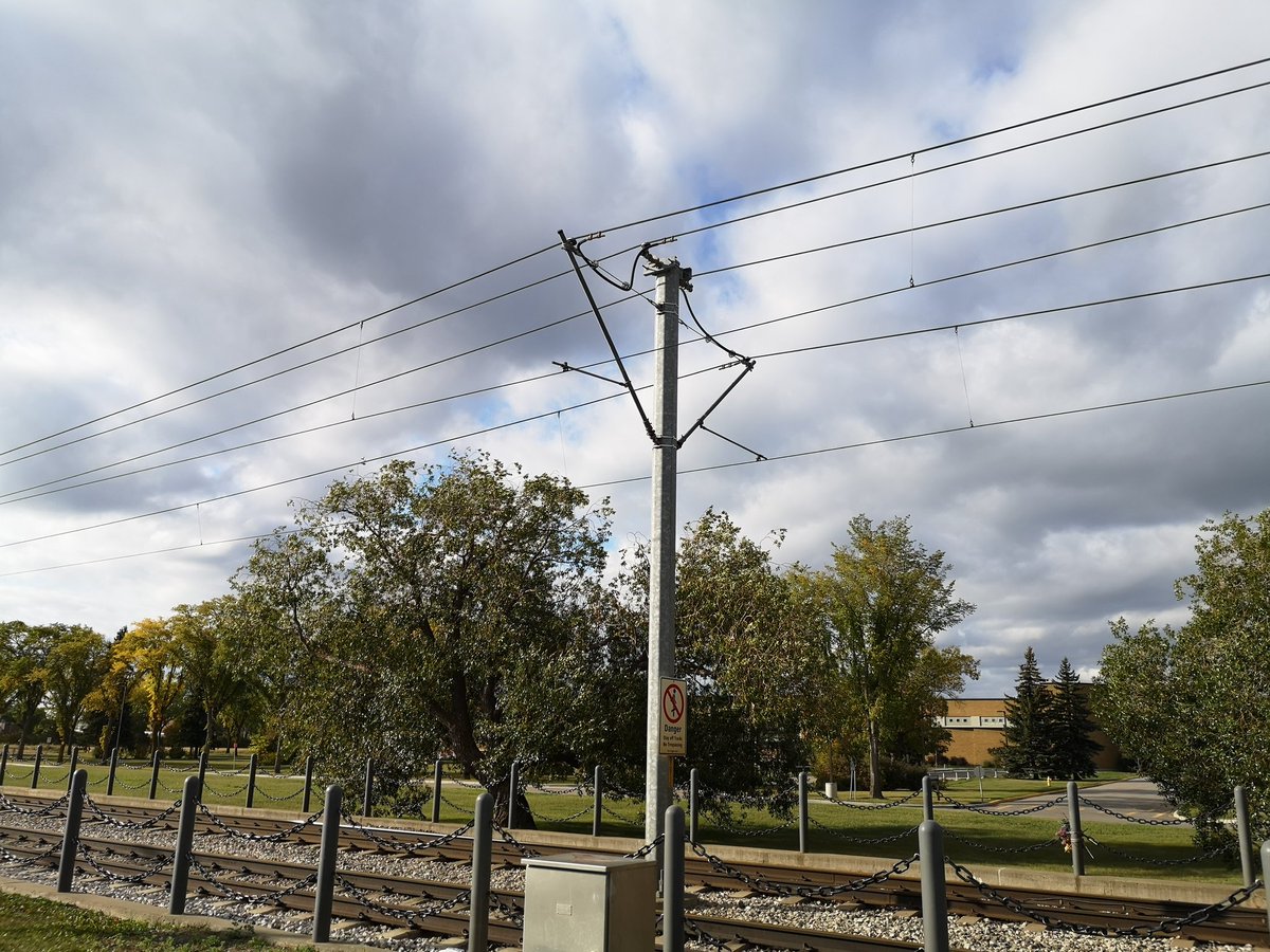 ECryptyd's tweet photo. Anyways I like to imagine this willow and it's willow friend saw bison on the Prairie. Witnessed people skating on the lake.
Remembers people taking the trolly down to enjoy the beauty of the space before it became suburbs.
3/3 

#yeg #Lendrum #yeghistory #yegtree https://t.co/IhBsBHk2up