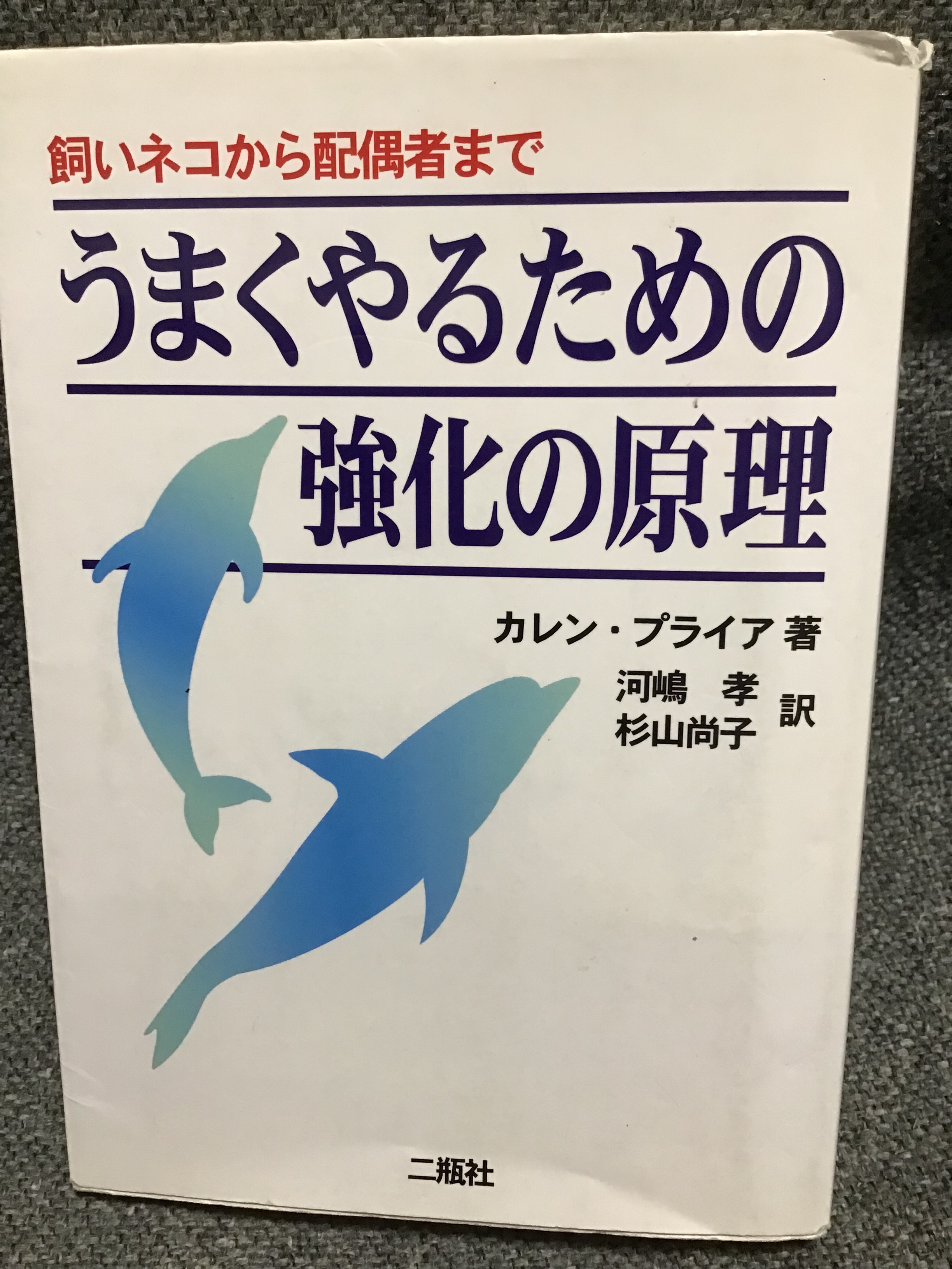 犬を愛でる Dogpondaianko Twitter
