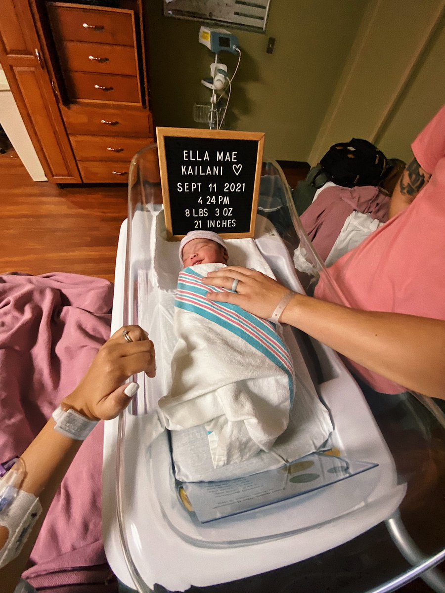 lyssmaek's tweet photo. our new lil bestfriend came into the world today 🤍 https://t.co/TUbNiul7dP