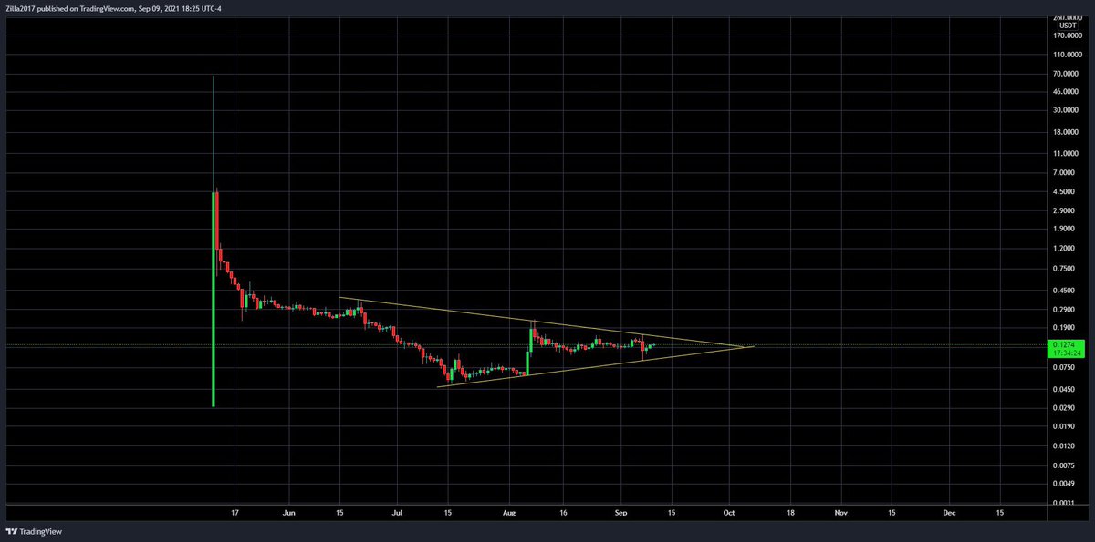 Rachuae's tweet image. During the dips and major crashes,  $cspr hasn’t budged at all! It goes to show how confident and invested people are in the project. Excited for their future and what’s to come. @Casper_Network