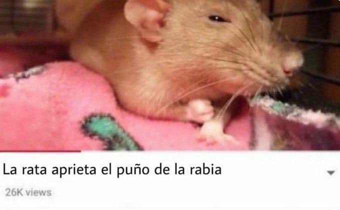 𝐊𝗈𝖼𝗁𝖺𝖻. (@thebetastar) on Twitter photo 