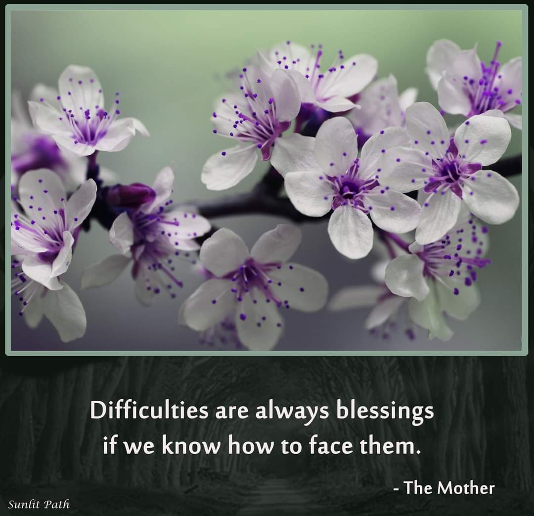 PathSunlit's tweet photo. Quote of the Day 
#qoutes #qouteoftheday #goodmorning #dailymotivation #SriAurobindo #TheMother #sunlitpath https://t.co/RuihGbtltZ