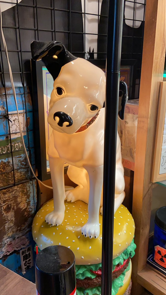 SwallowHangout's tweet photo. 生憎の雨ですが暇つぶしがてら
本でも読みにお越し下さい。
@conpac70 https://t.co/gsyIjUVp09