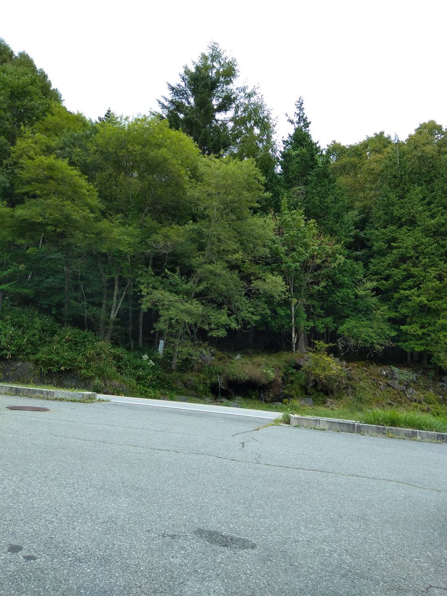 旅大家 Keibaimap Twitter 旅大家 Keibaimap Twitter