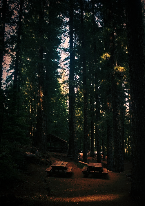 𝑨𝒍𝒚𝒂 tweet media