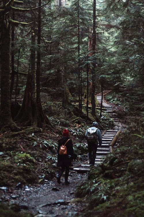 𝑨𝒍𝒚𝒂 tweet media