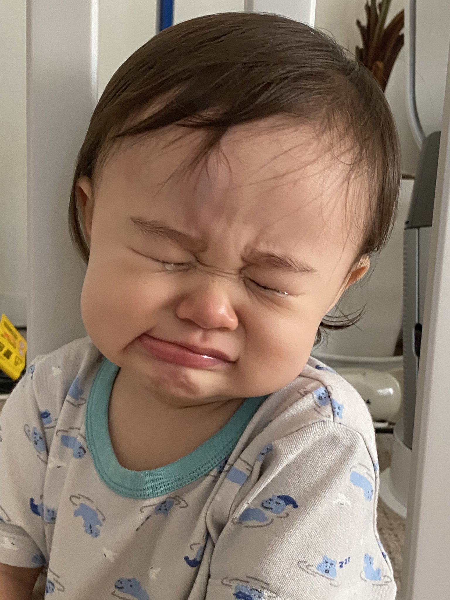 Chris Peppler Sur Twitter 今朝一歳になった娘が初たんこぶ を作った いつも転んでどこかぶつけてる 青タン消えたと思ったらまた新たな青タン 今度はたんこぶ パパ気が気じゃありません 今日のtokioは逆電スペシャル クイズ逆電バスターを計4回 毎時行います