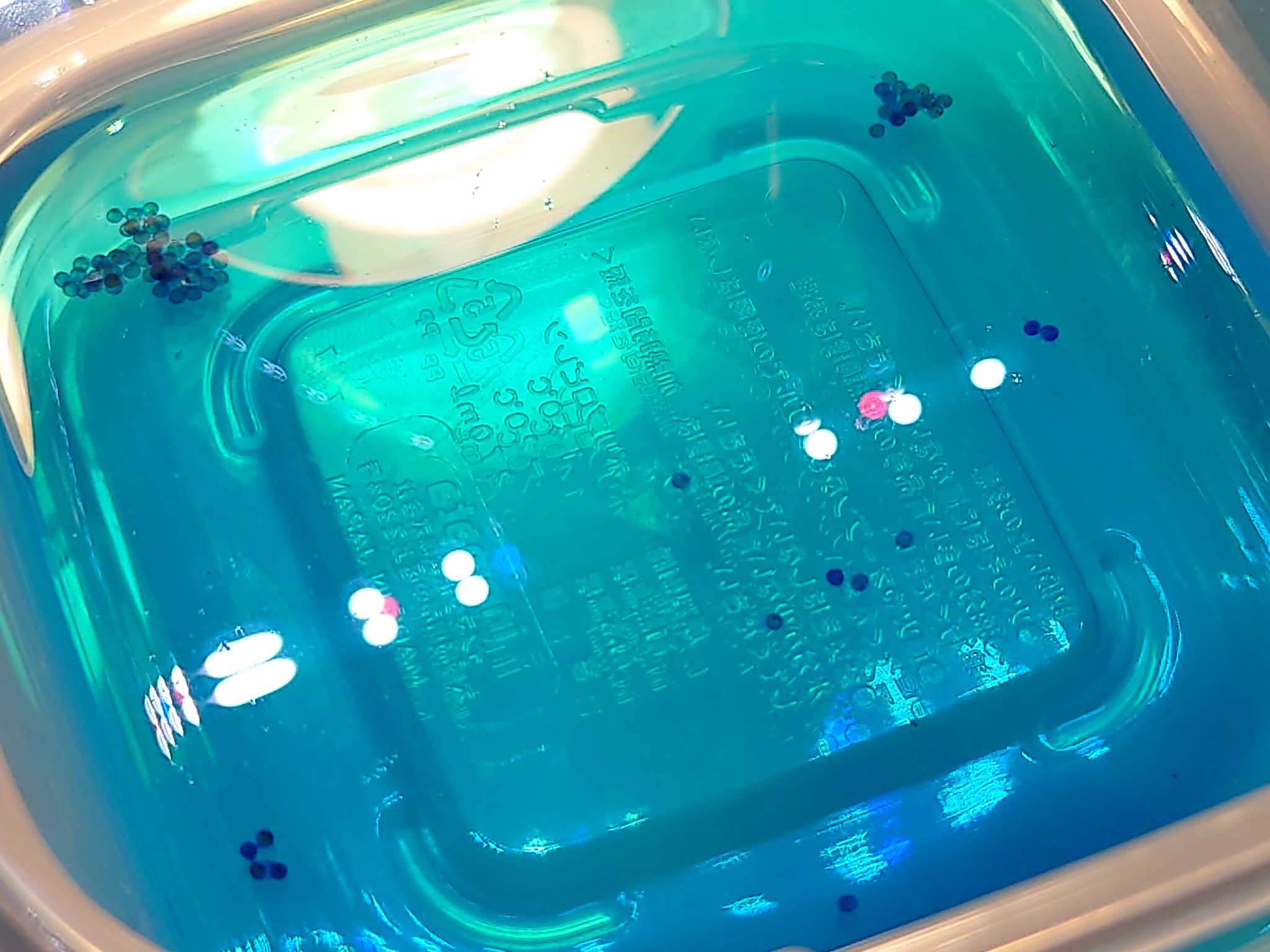 ぬこ様 Iwx4slw7lpmxl3b Twitter