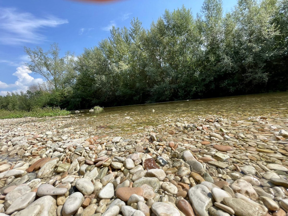 PGI_TV's tweet image. 🎥🔴 ℝ𝕚𝕡𝕣𝕖𝕤𝕖 𝕚𝕟 ℂ𝕠𝕣𝕤𝕠
📍𝗠𝗘𝗥𝗚𝗢
🏘 Sulle colline marchigiane, nell’area della Vallesina, sorge Mergo, incantevole borgo medievale.
#raccobtiamoilbelpaese
#mergo #ancona #marche #fiumeesino #marchestorie #borgomedioevale #castellomedievale #vallesina