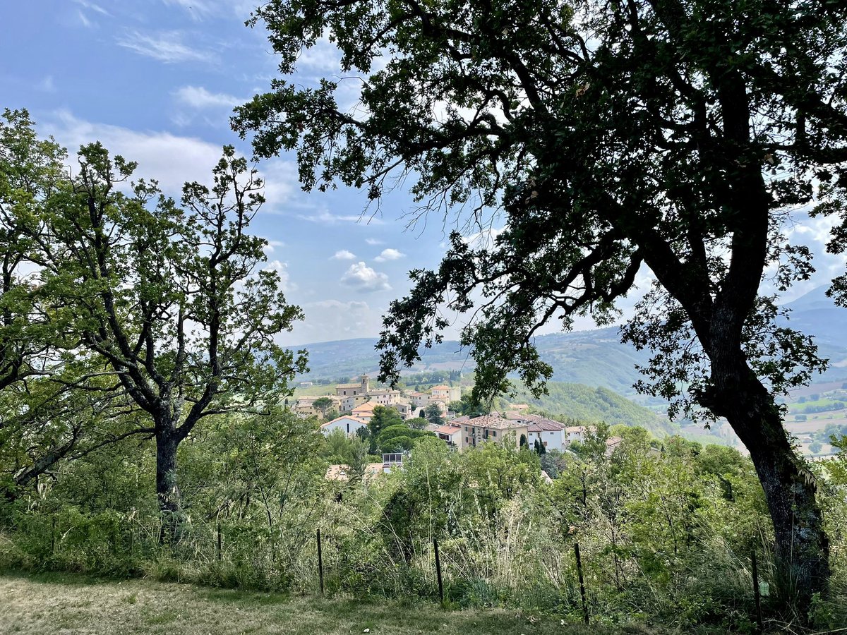 PGI_TV's tweet image. 🎥🔴 ℝ𝕚𝕡𝕣𝕖𝕤𝕖 𝕚𝕟 ℂ𝕠𝕣𝕤𝕠
📍𝗠𝗘𝗥𝗚𝗢
🏘 Sulle colline marchigiane, nell’area della Vallesina, sorge Mergo, incantevole borgo medievale.
#raccobtiamoilbelpaese
#mergo #ancona #marche #fiumeesino #marchestorie #borgomedioevale #castellomedievale #vallesina