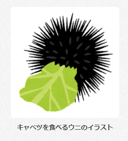 ট ইট র Schemaneko 黒音こなみ ラジオ It正常運用促進課 制作 いらすとやさん キャベツウニも実装してるのか ট ইট র Schemaneko 黒音こなみ ラジオ It正常運用促進課 制作 いらすとやさん キャベツウニも実装してるのか
