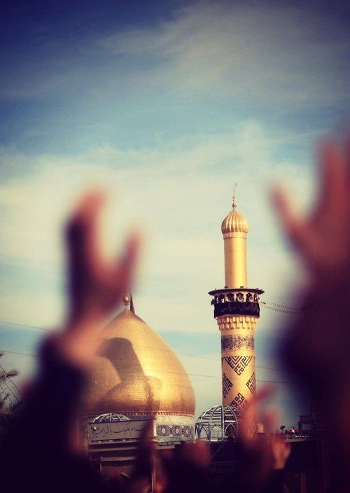 زَيّنَب 𓂆السيِّد🇱🇧 🇵🇸 tweet media