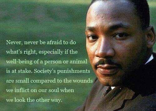 wavemich43's tweet photo. @ArtCrunchy It’s beyond inhumane no matter how anybody tries to justify it they are the types of orders that you refuse to take. #1RaceHuman #BuildBridgesNotBorders https://t.co/SmA9rf8Cx6