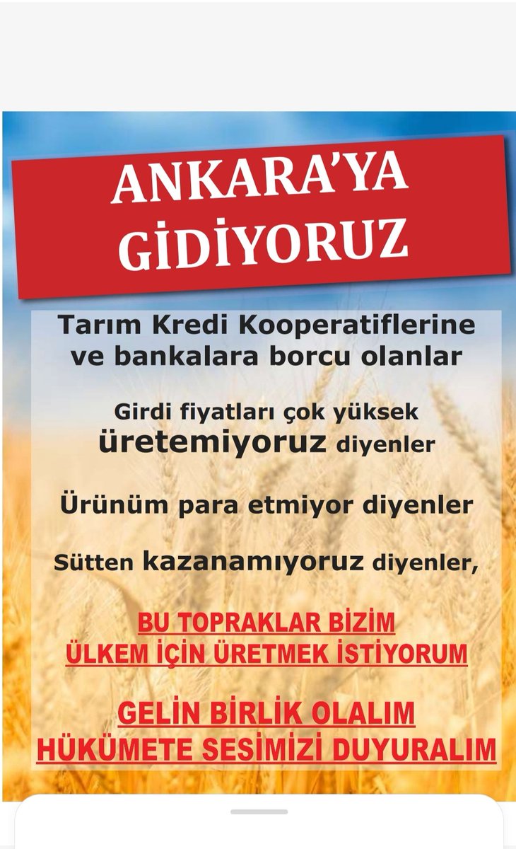 05celal05's tweet photo. @RTErdogan https://t.co/xDTeviuoml