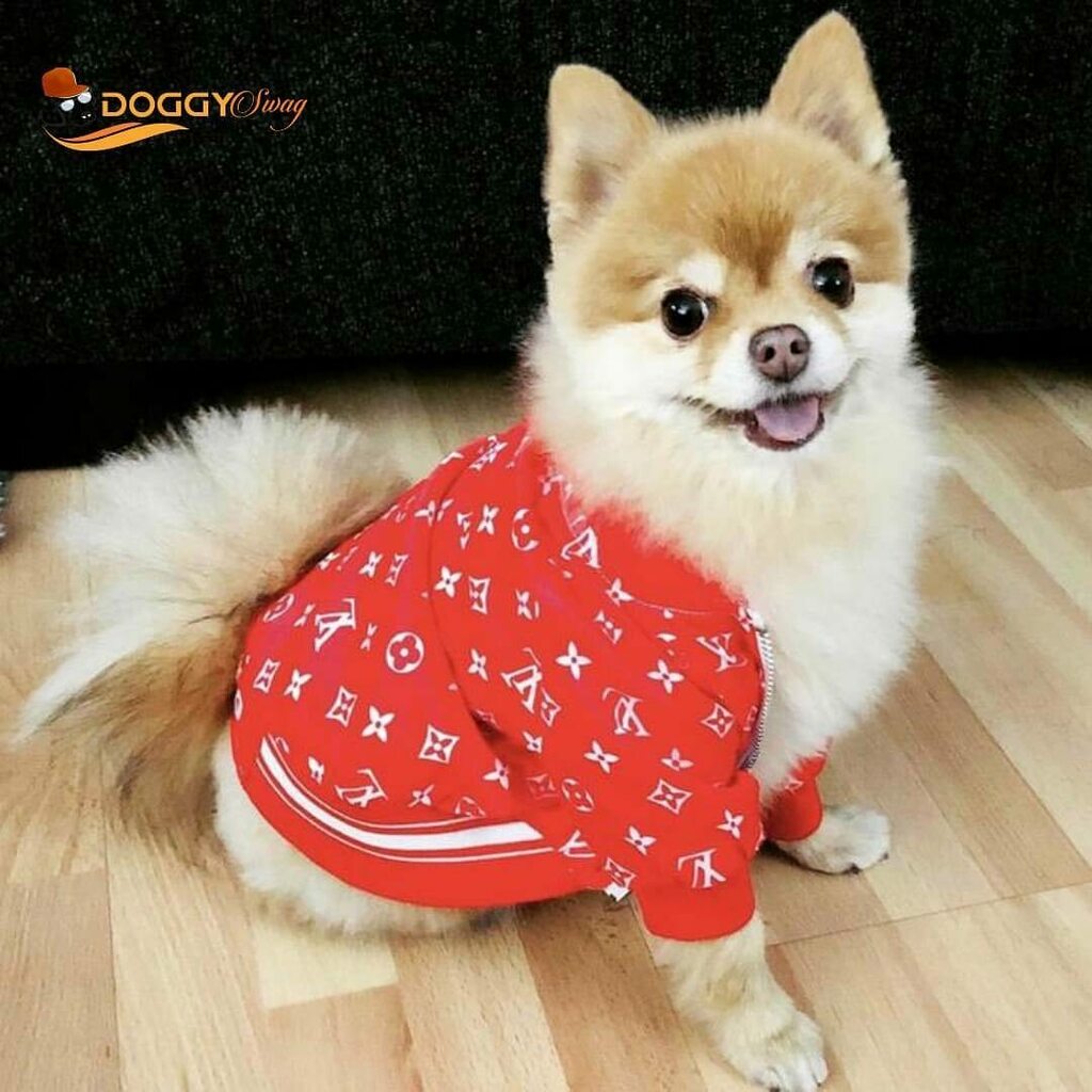 Pupreme LV Dog Hoodie – Doggy Swag Shop