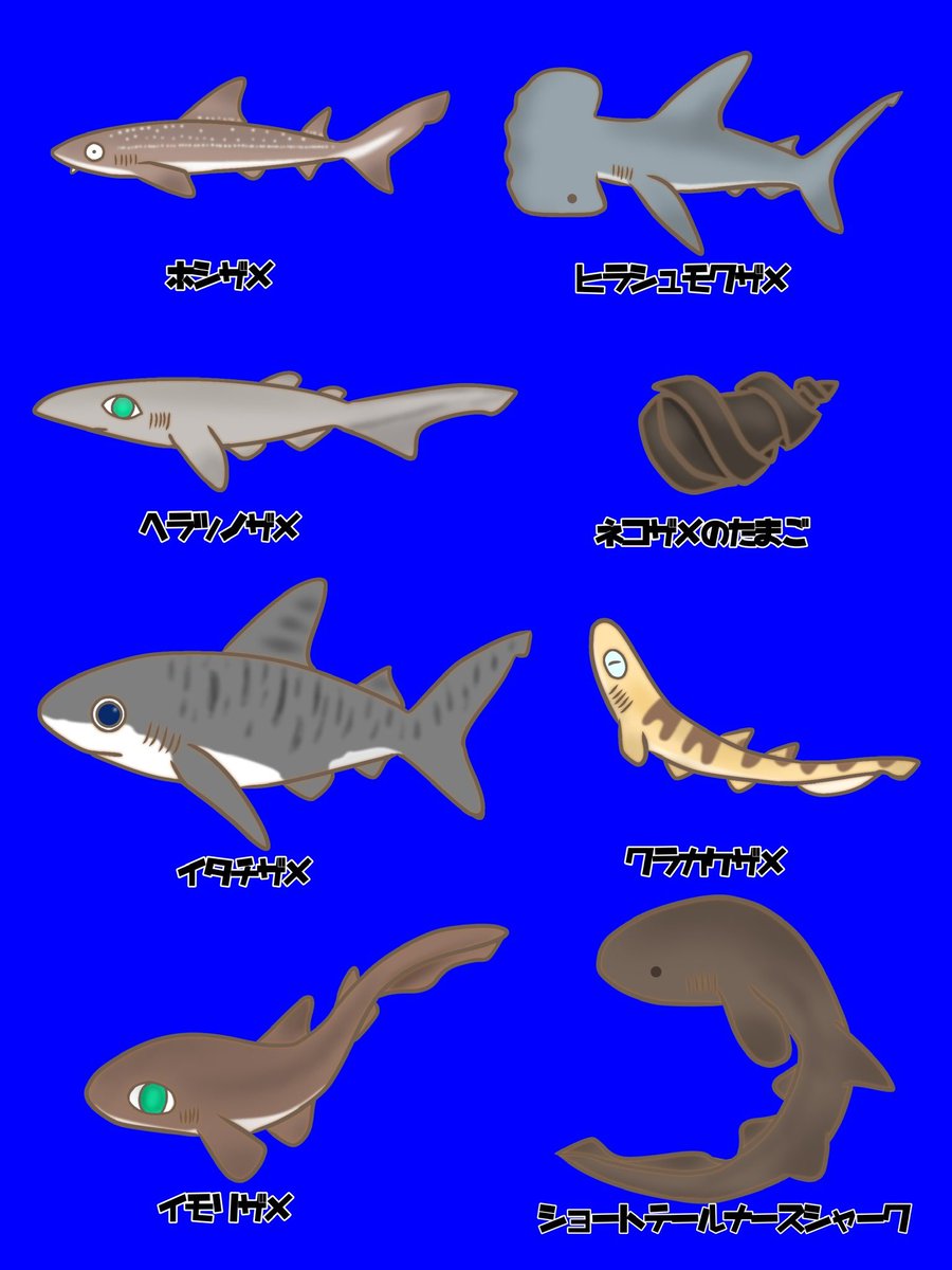 けいこっとん Keikot024 Twitter