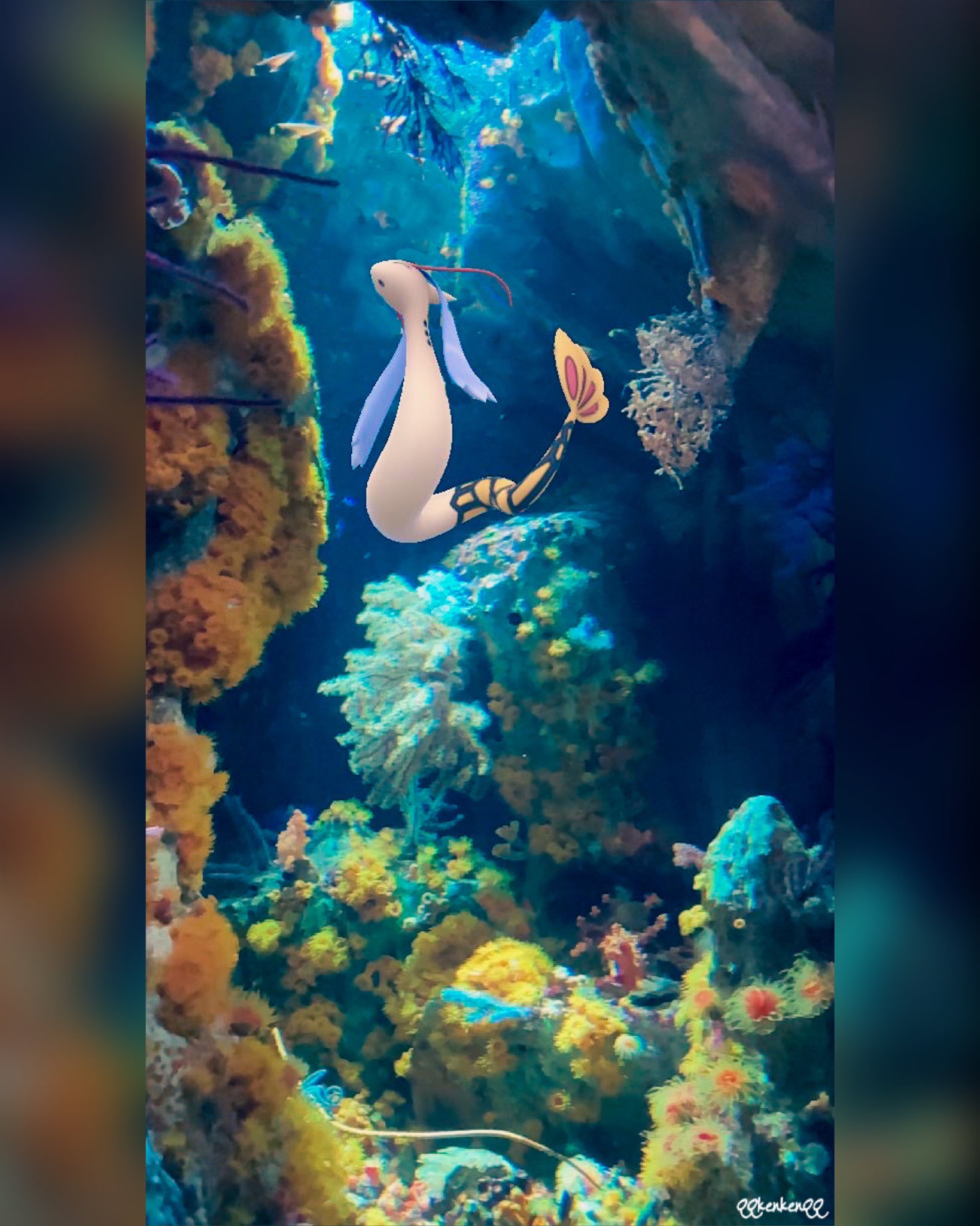 Twitter 上的 Kenken 秘密の楽園 ミロカロス 色違いミロカロス Milotic Shinymilotic Pokemongo Gosnapshot Pokemongoar ポケモンgo Aroftheday ポケモン ポケットモンスター サンシャイン水族館 T Co 9mle0capzz Twitter