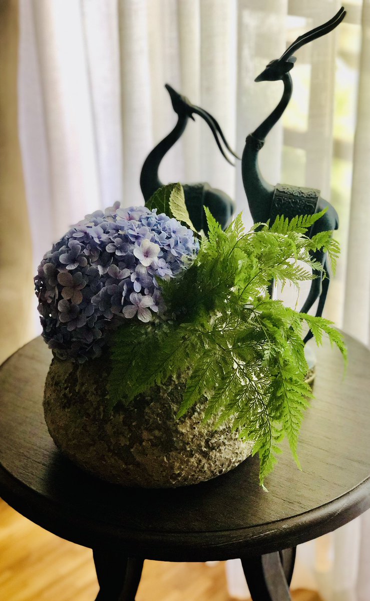 gita_mathew's tweet photo. Hydrangeas represents gratitude, grace and beauty. It also radiates abundance because of the lavish number of flowers and the generous round shape. Its colours symbolise #love, #warmth #harmony #peace
My all time fave🤍#SundayHome https://t.co/nRLNZ9YBgC