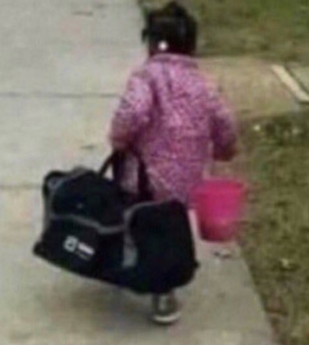 HaileyBenavide9's tweet photo. @triceortrixie Me at the moment🥲 https://t.co/FyOSqi3V3j