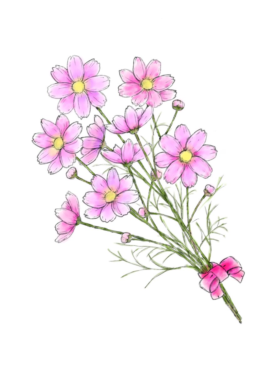 コスモスイラスト コスモスイラスト