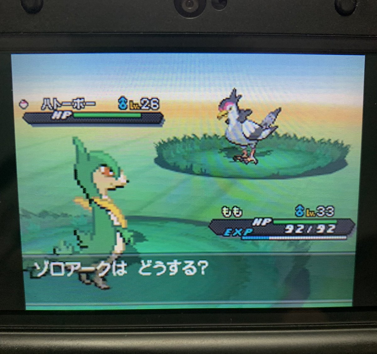 ポケモンブラック２