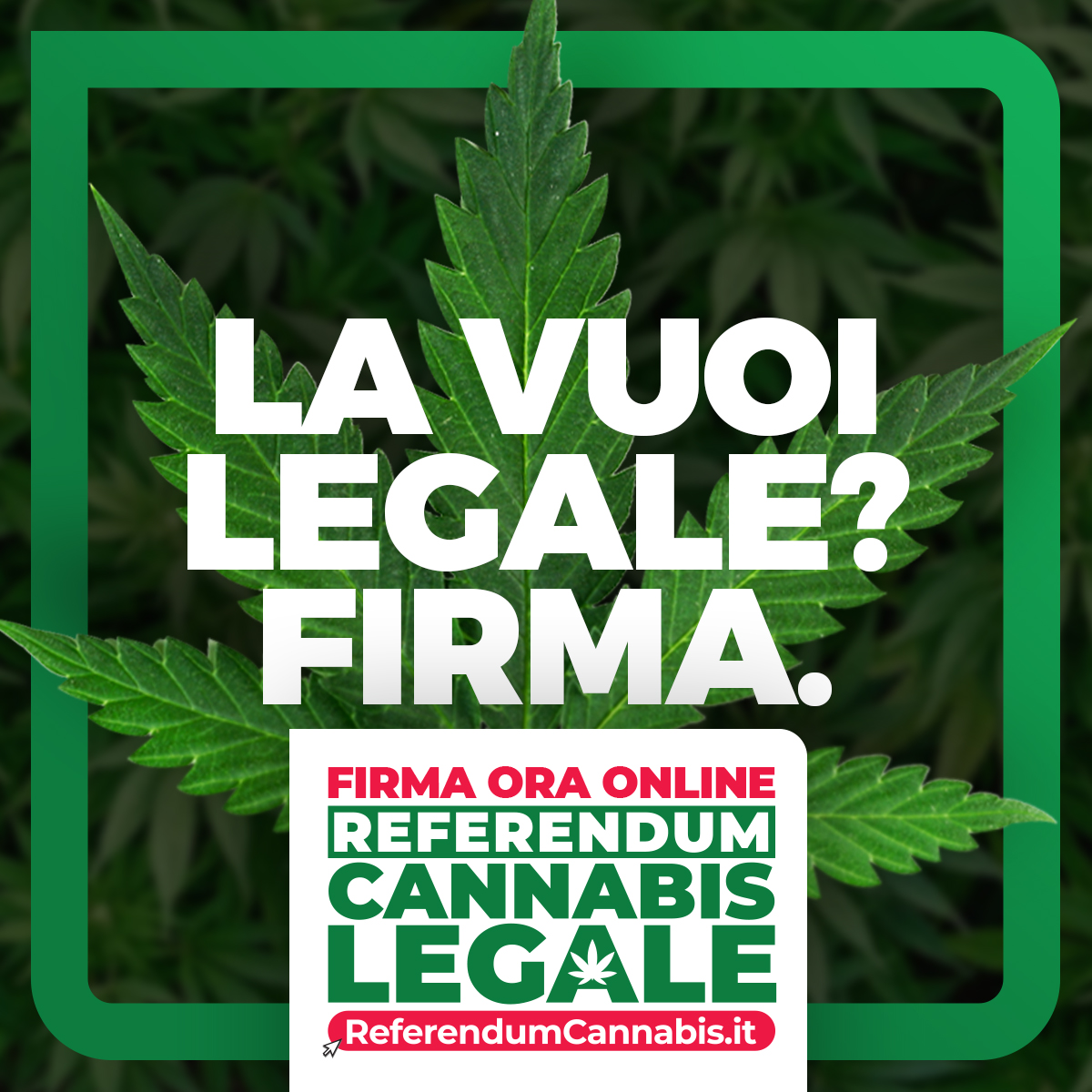 LegaleMeglio's tweet image. 🌱 Ci sono 6 MILIONI di consumatori di cannabis che ogni anno sono costretti a rivolgersi alle mafie. Noi vogliamo dare voce a tutte quelle persone che i politici proibizionisti vorrebbero sbattere in galera!
✍️ Firma anche tu!
📲 referendumcannabis.it
#ReferendumCannabis