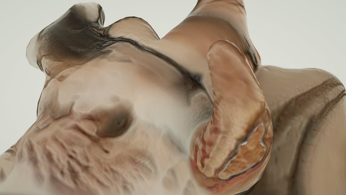 HumusGlitch's tweet photo. name these human body parts
.
.
.
#humanbody #humusglitch #arselectronica #newdigitaldeal #bodyparts #3d #AI https://t.co/Ele3dmKpmo