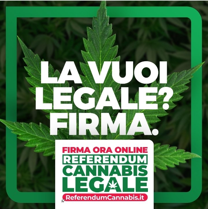 Blowjoint's tweet photo. Vuoi tutelare la salute pubblica, svuotare le carceri, decongestionare i tribunali, sottrarre alle mafie un mercato basilare, rilanciare una fonte di energia pulita, concorrere al diritto di autodeterminazione?
Firma.
https://t.co/QvoK7NAMST
#SpiniNelFianco x #ReferendumCannabis https://t.co/BSjvIvLwcQ