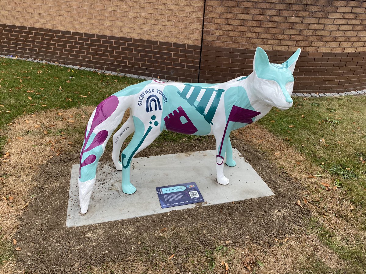 Glenfield tunnel fox