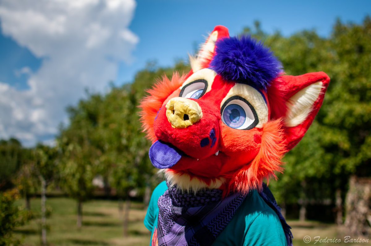 SpritzRedDawg's tweet photo. Do you know why dogs like to sunbathe? βοΈπΆ
.
.
.
Because βbarkβ π
πΈ: @Baritz3ββ
#StuffedTailSunday #StuffedTail #Furry #Fursuit #GShep #DogUnderTheSun #NewProfilePic https://t.co/LO66iD3q8P