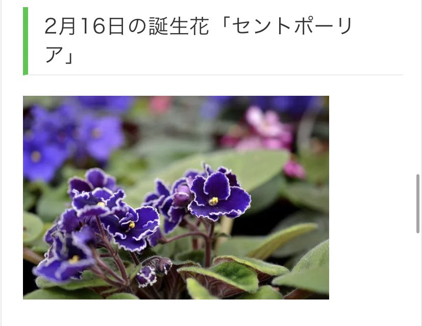 _2002_1124's tweet photo. 小池俊司の誕生日11/24
西島蓮汰の誕生日2/16
それぞれの誕生花見て！！！
やばくない？？？？運命感じる、、、
睡蓮しか勝たん😭😭😭😭😭

 #小池俊司
 #西島蓮汰
 #睡蓮 https://t.co/dKksYHfSy8