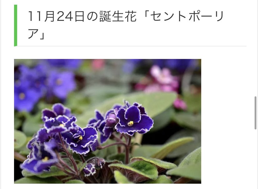 _2002_1124's tweet photo. 小池俊司の誕生日11/24
西島蓮汰の誕生日2/16
それぞれの誕生花見て！！！
やばくない？？？？運命感じる、、、
睡蓮しか勝たん😭😭😭😭😭

 #小池俊司
 #西島蓮汰
 #睡蓮 https://t.co/dKksYHfSy8