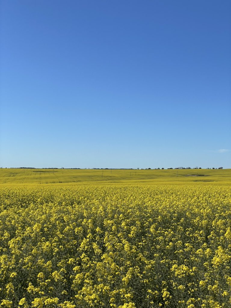 Travelling down south is beautiful!