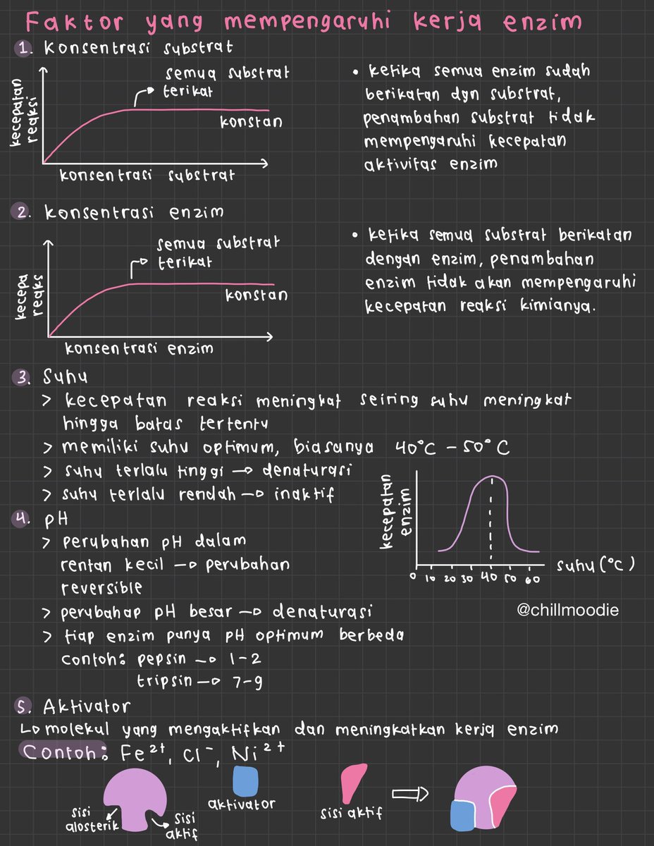 chillmoodie's tweet photo. – enzim
[biologi kelas 12]
pdf: https://t.co/g46h6k9o6T

sumber: rg
#catatanambis
#catetannya_sal https://t.co/3K89ysH9q4