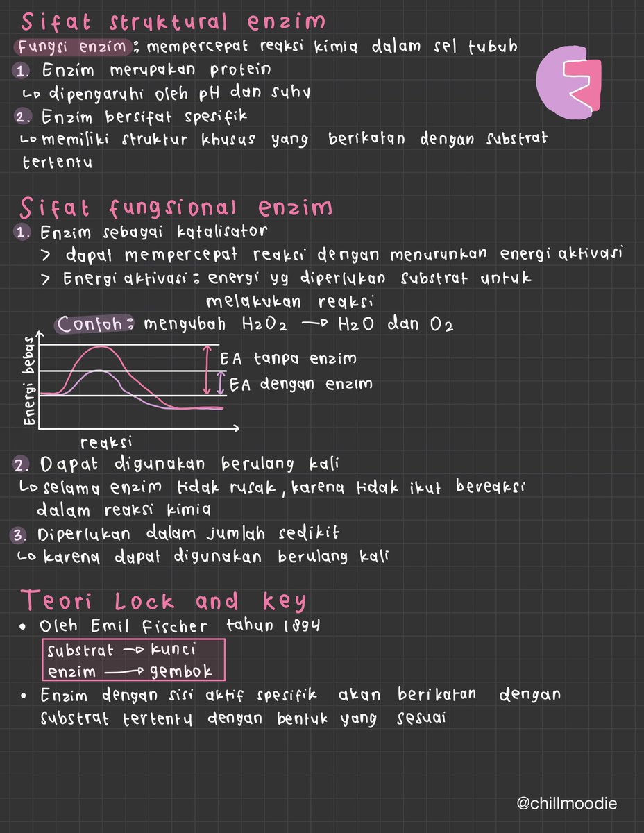 chillmoodie's tweet photo. – enzim
[biologi kelas 12]
pdf: https://t.co/g46h6k9o6T

sumber: rg
#catatanambis
#catetannya_sal https://t.co/3K89ysH9q4