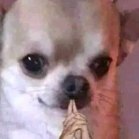 necesito socializar así que 𝗳𝗮𝘃 y voy a 𝗱𝗺 ya sea para hablar, planear tramas o pasarnos mierda.
un 𝗿𝘁 se agradece, que es gratis de momento.