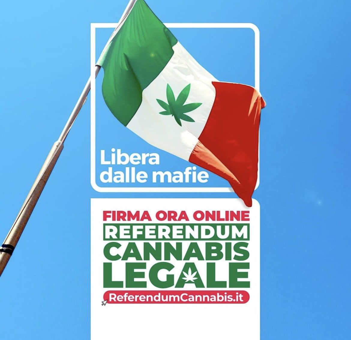 LucaBizzarri's tweet photo. È stato così semplice firmare con lo Spid che credo ci saranno molti referendum, in futuro. O nessuno. https://t.co/EnTQUPEdmn