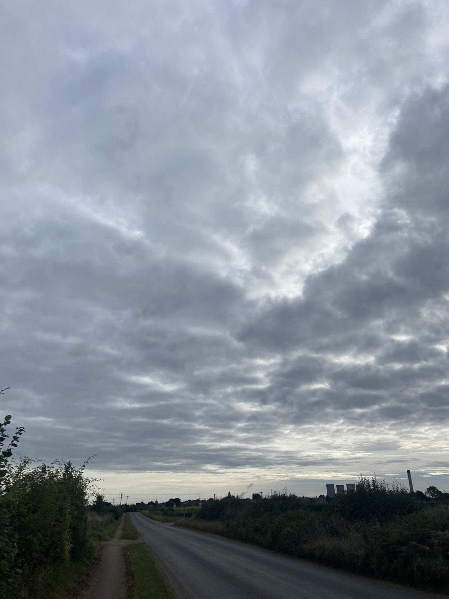 sallytwoshoes 💙🏳️🌈🏳️⚧️👩🏼💻 tweet media